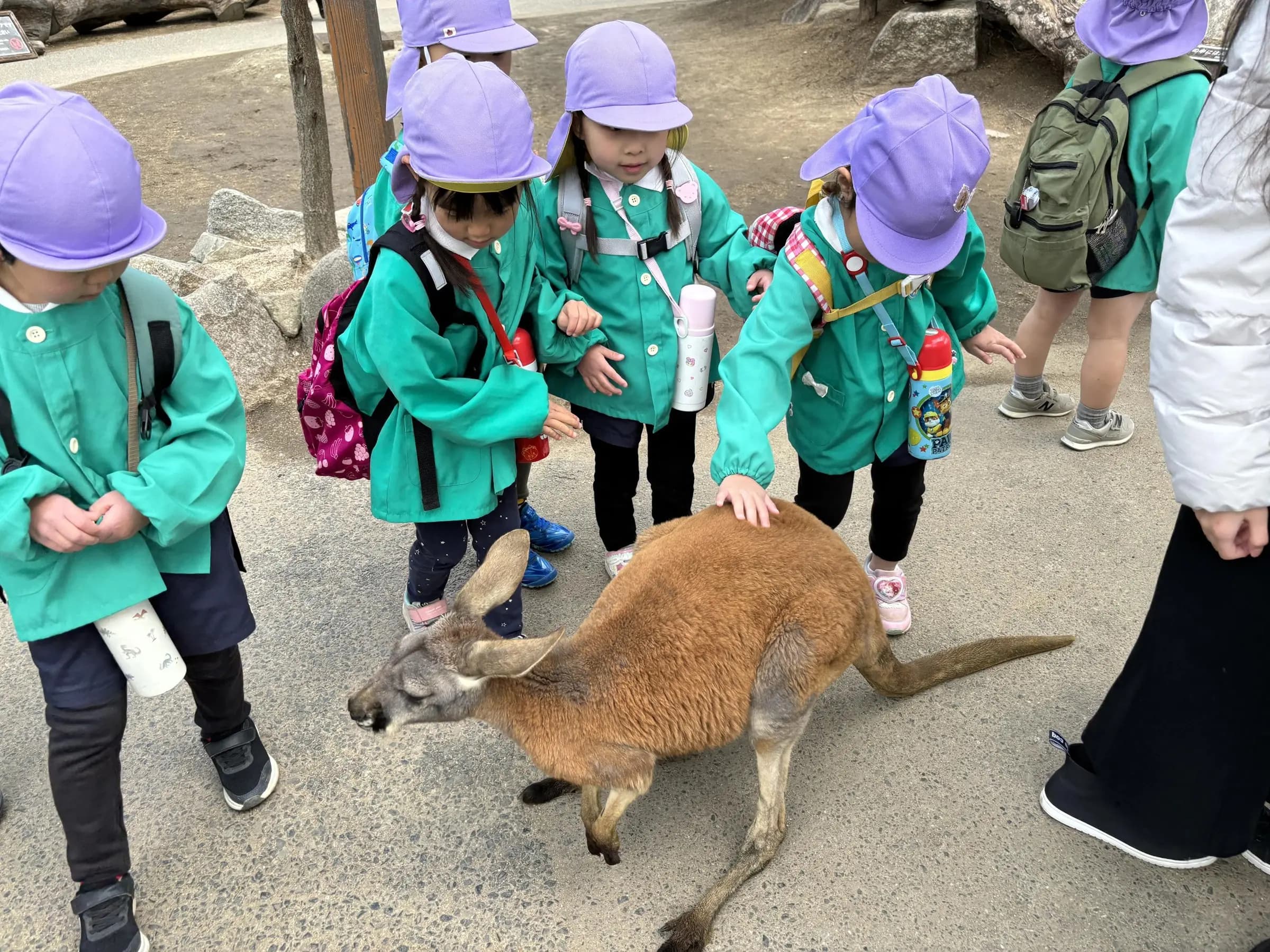 年間行事の写真 3