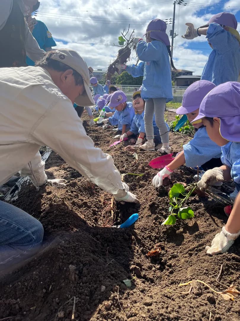 年間行事の写真 12