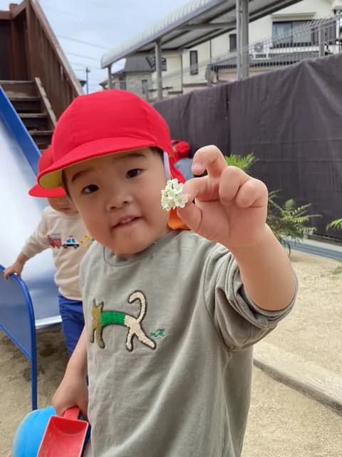 年間行事の写真 2