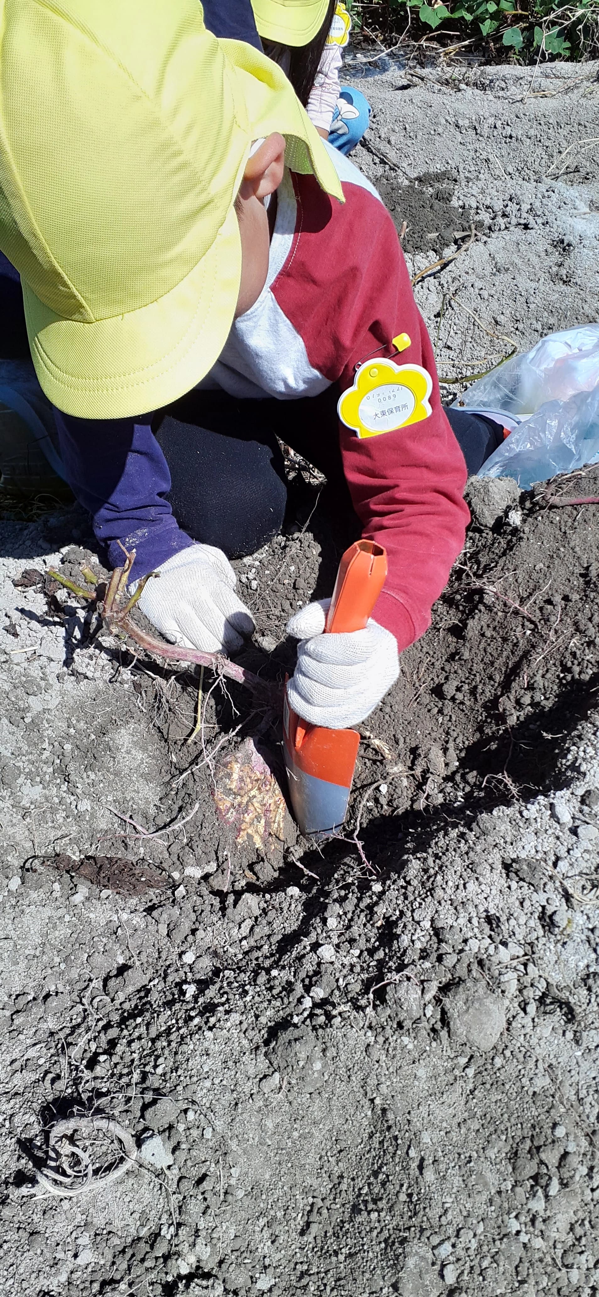 年間行事の写真 1