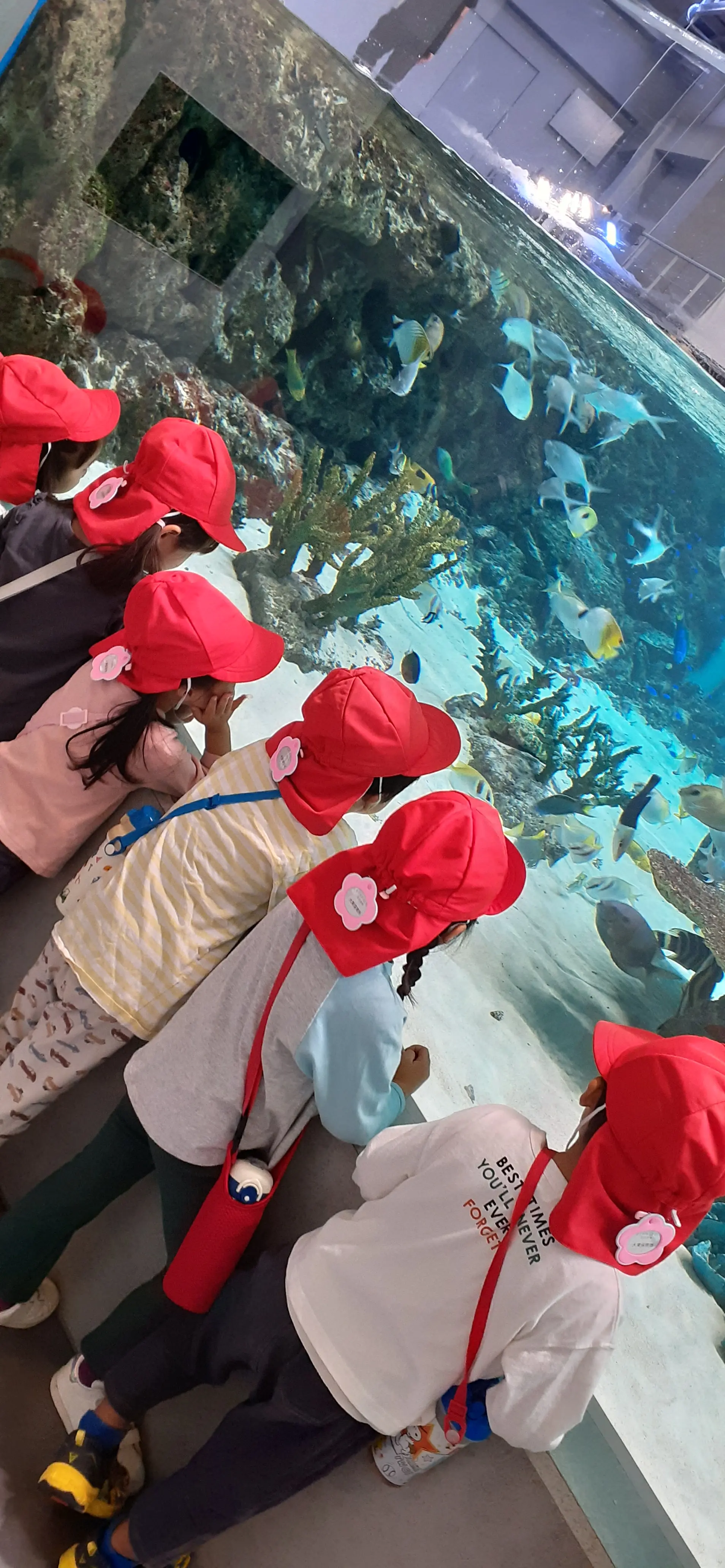 年間行事の写真 10