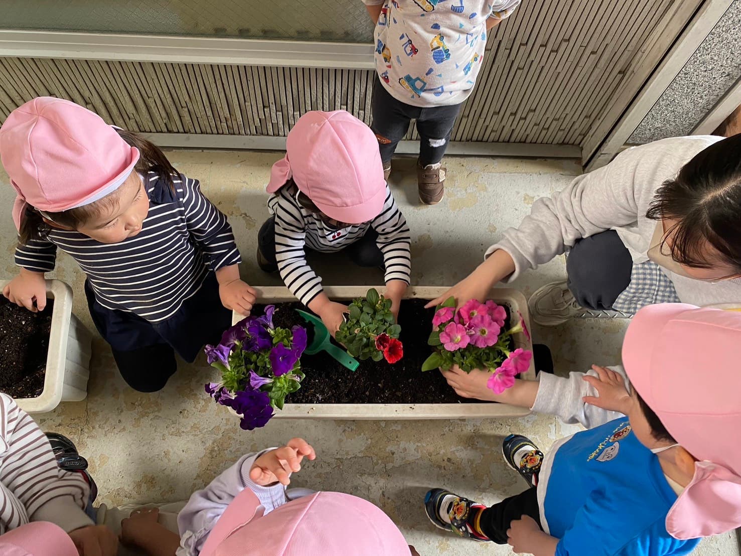 年間行事の写真 12