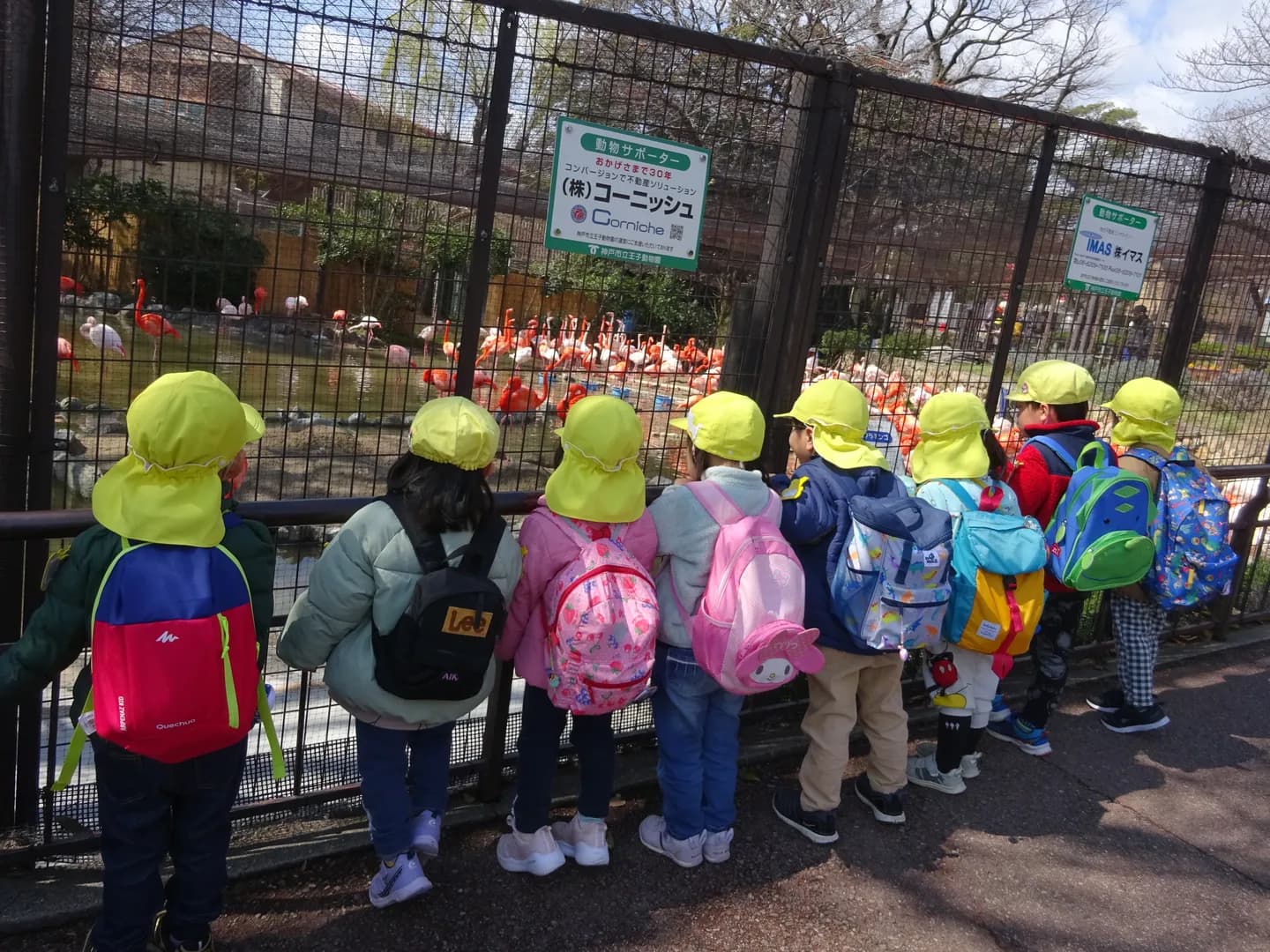 年間行事の写真 11