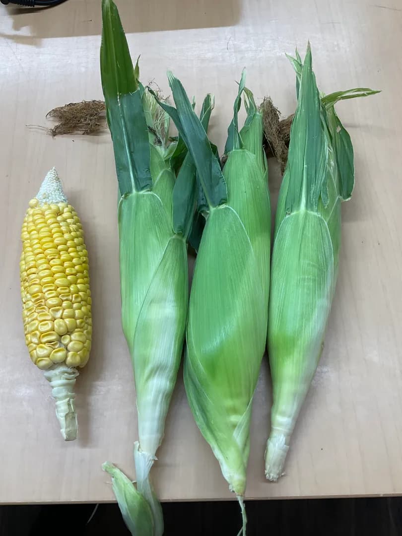 年間行事の写真 3