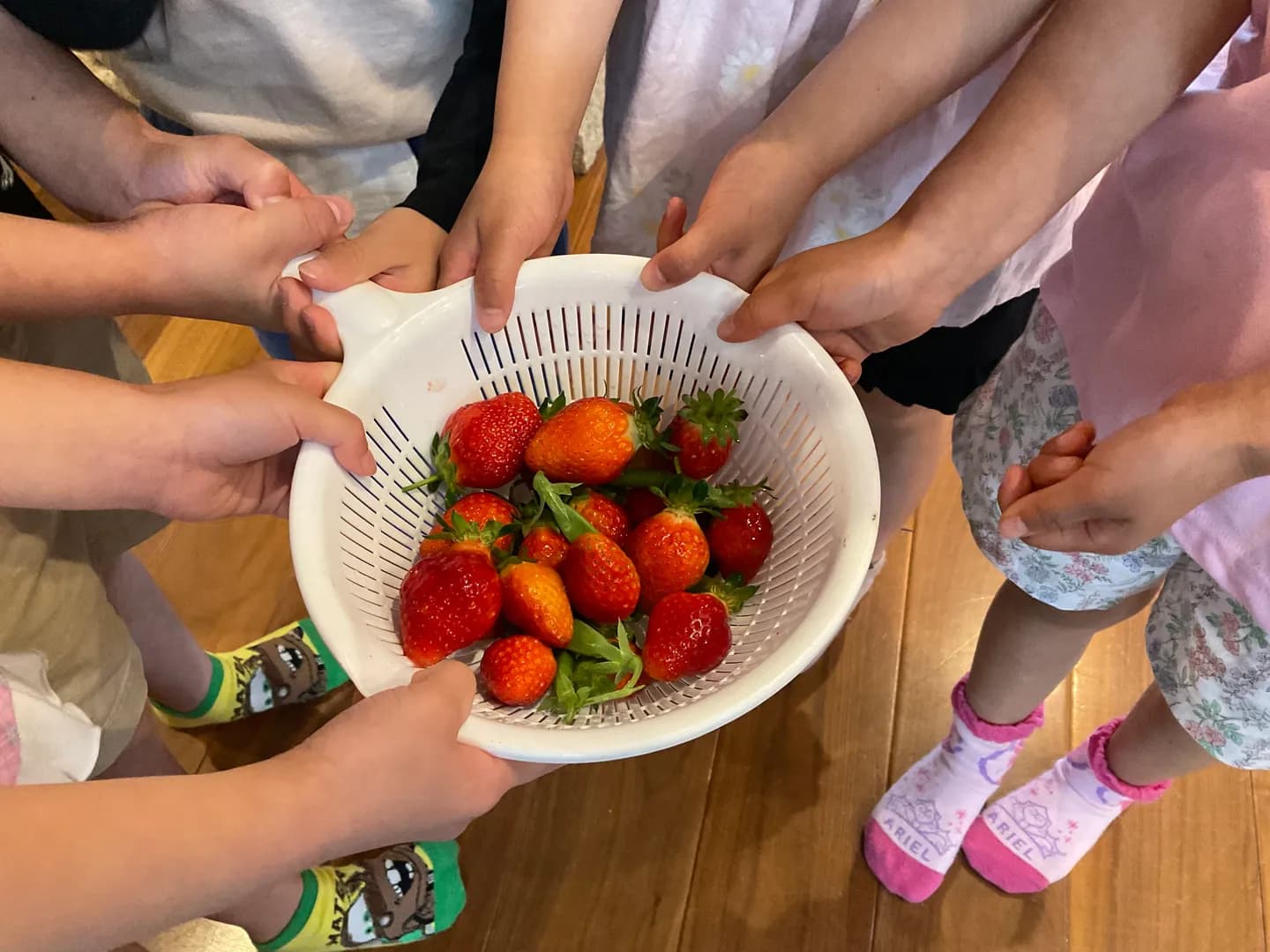 年間行事の写真 5