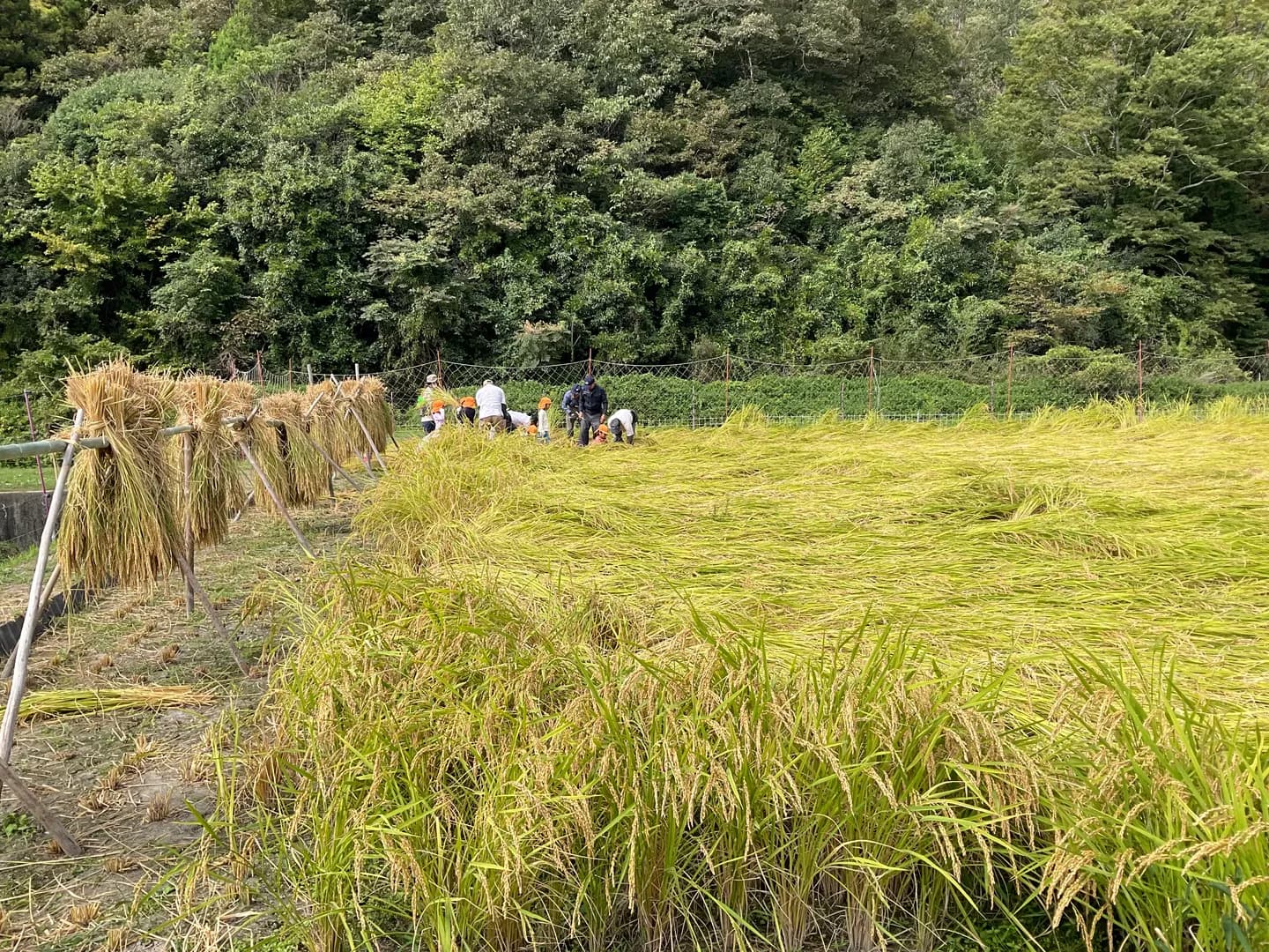 年間行事の写真 7