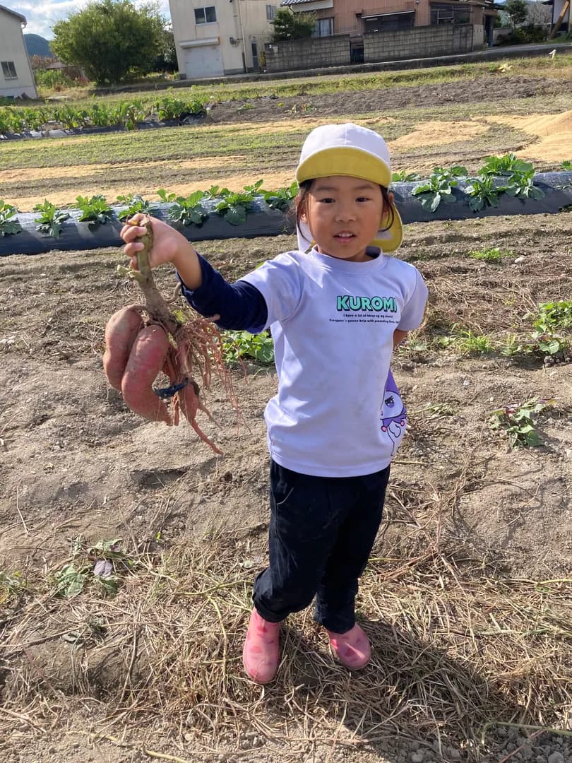 年間行事の写真 12