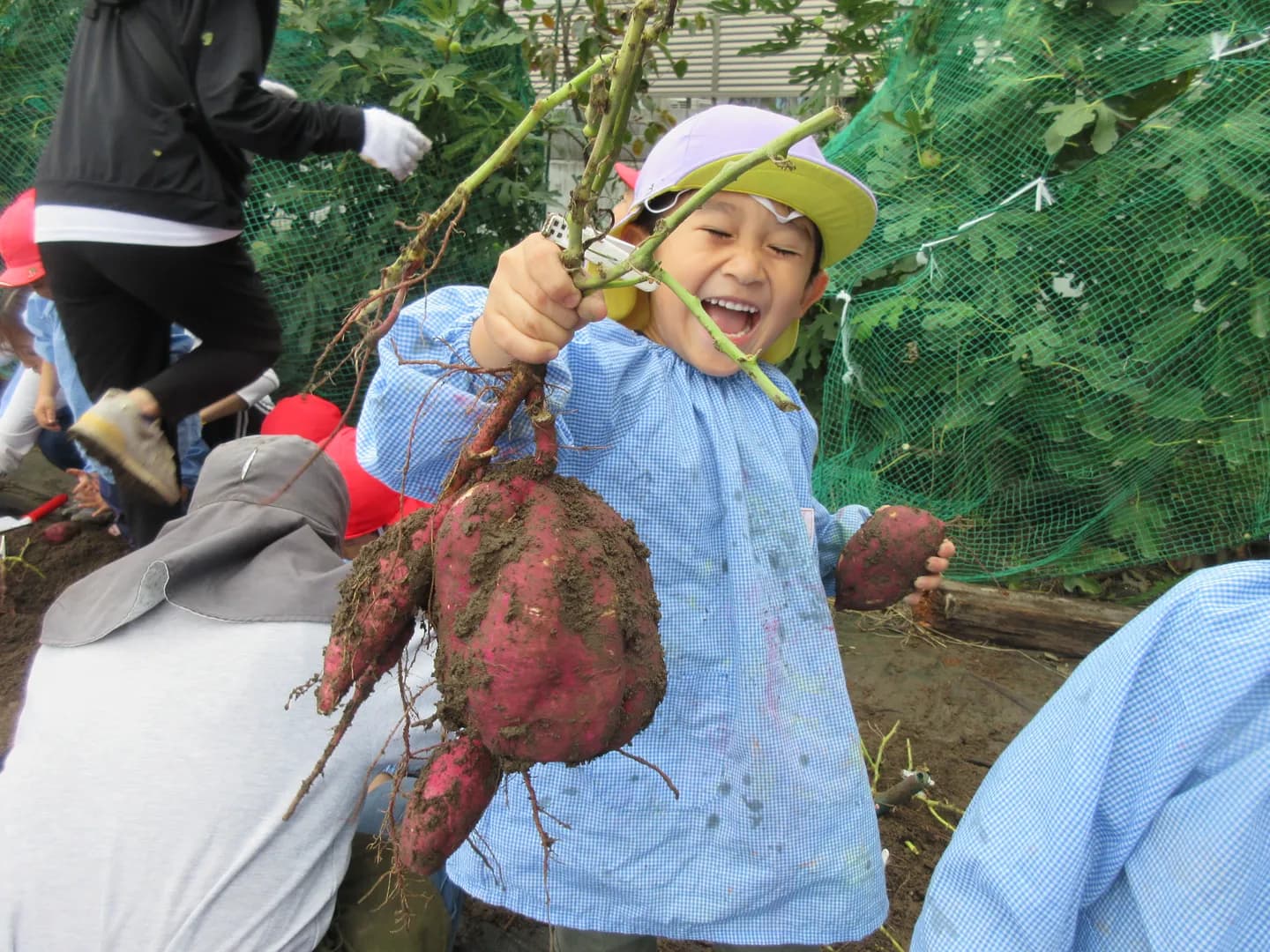 年間行事の写真 4