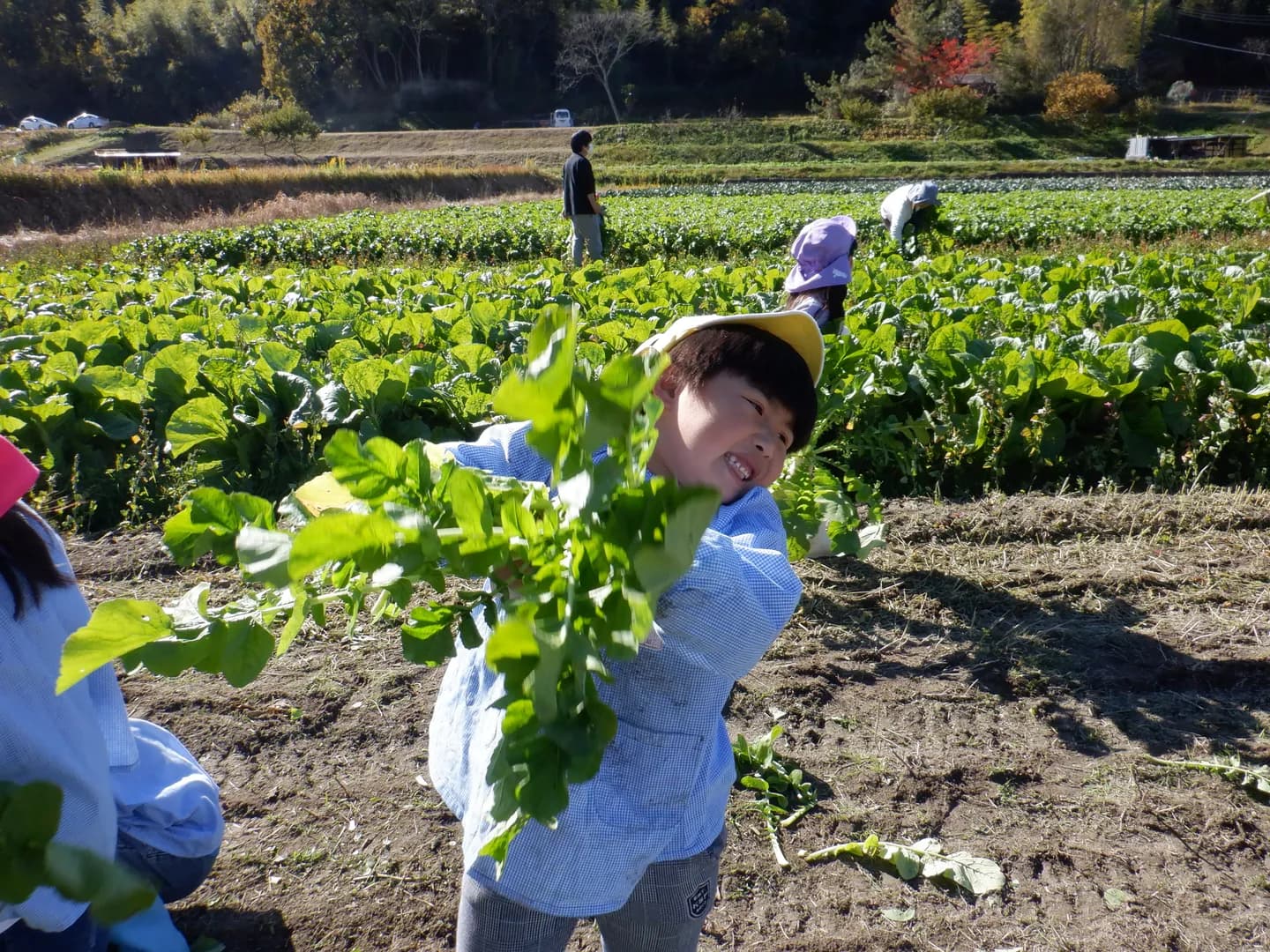 年間行事の写真 5