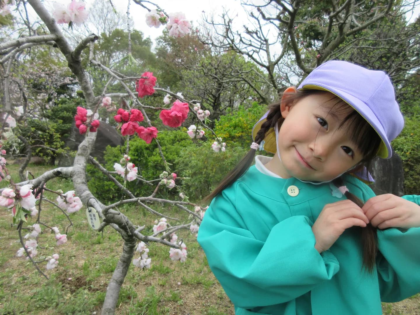 年間行事の写真 7