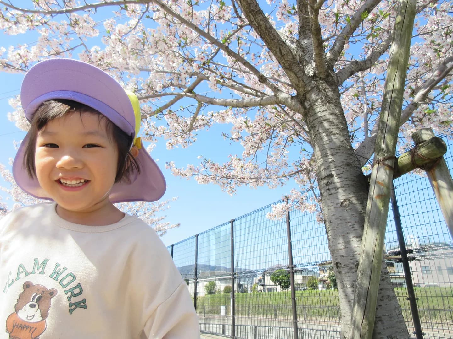 年間行事の写真 20