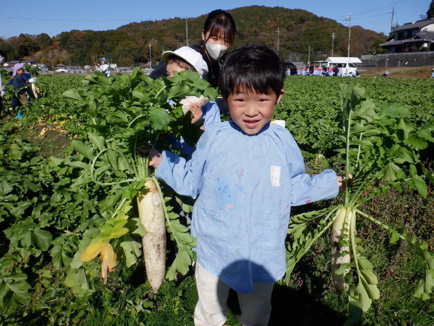 年間行事の写真 16