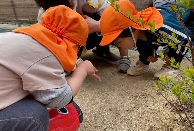 元気・勇気・根気のあるこども