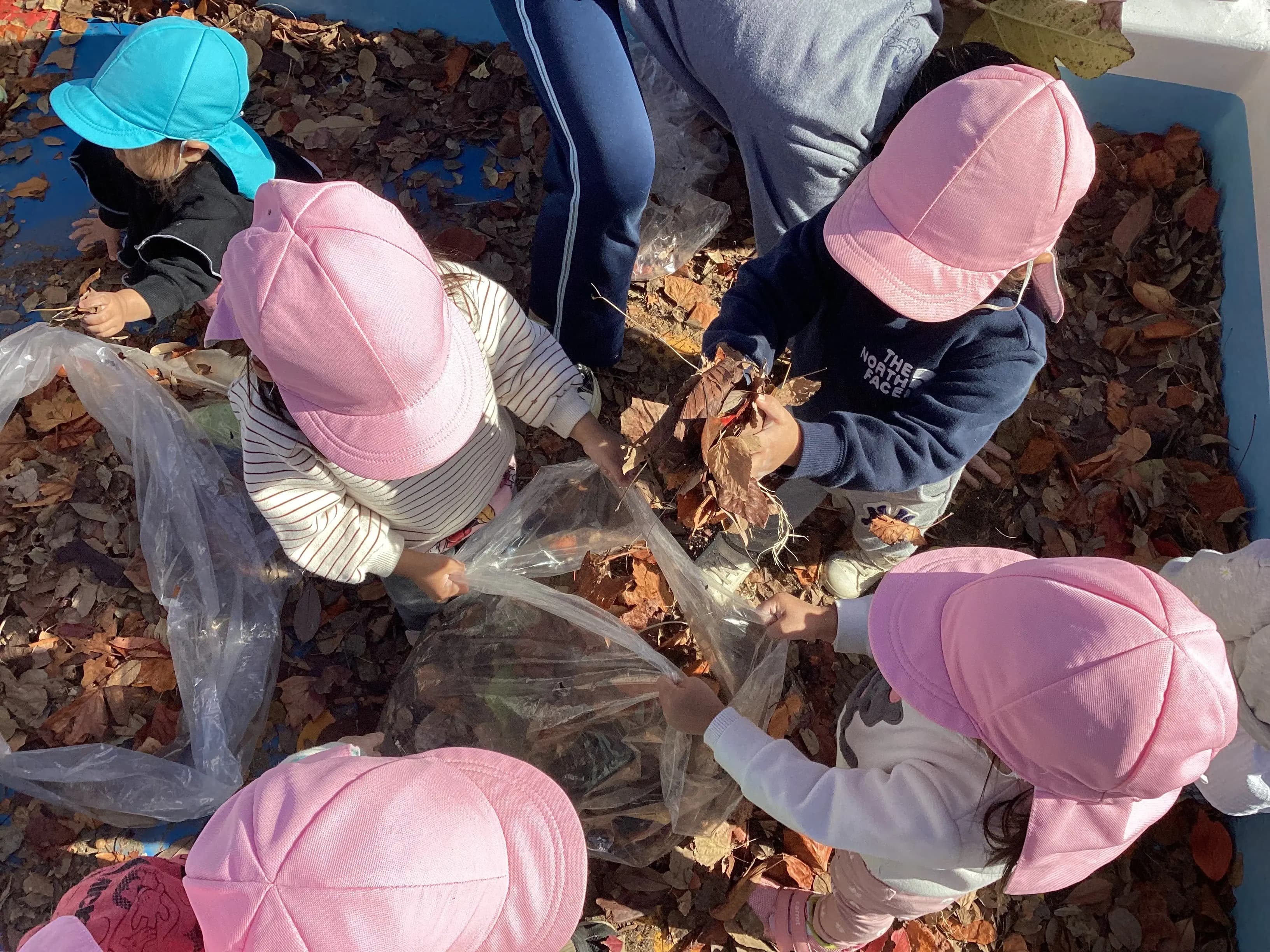 のびのび元気に遊ぶこども(仮)