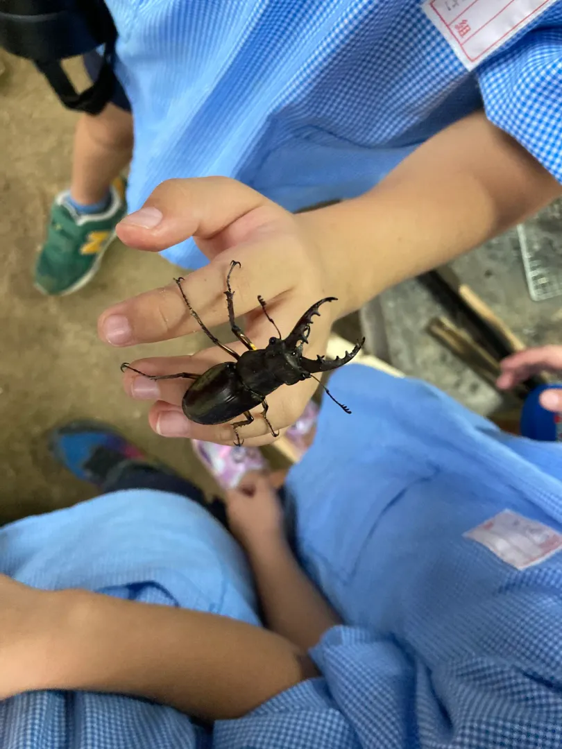 たくましい身体