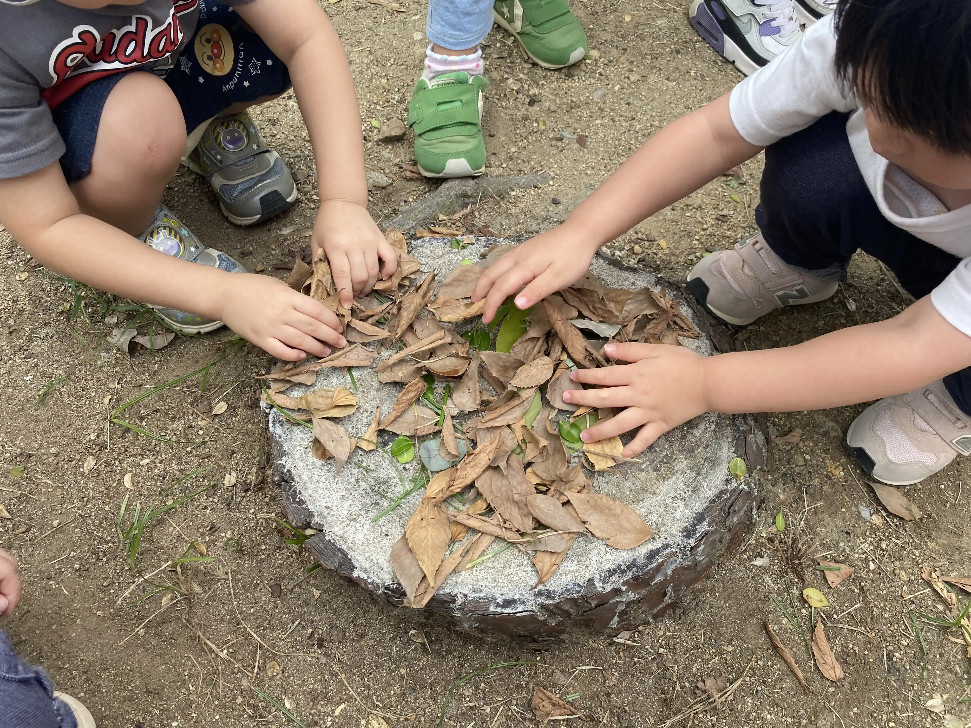 健全な心身の発達の促進