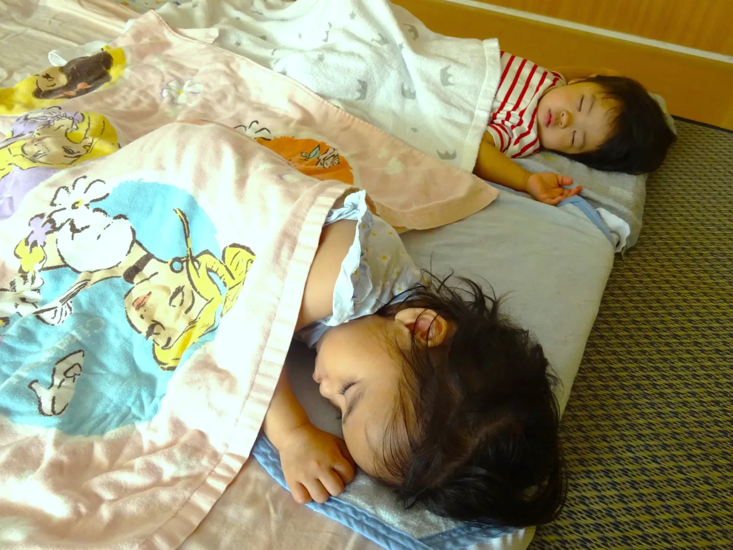 ひと・ものを思いやる、やさしい心をもったこども