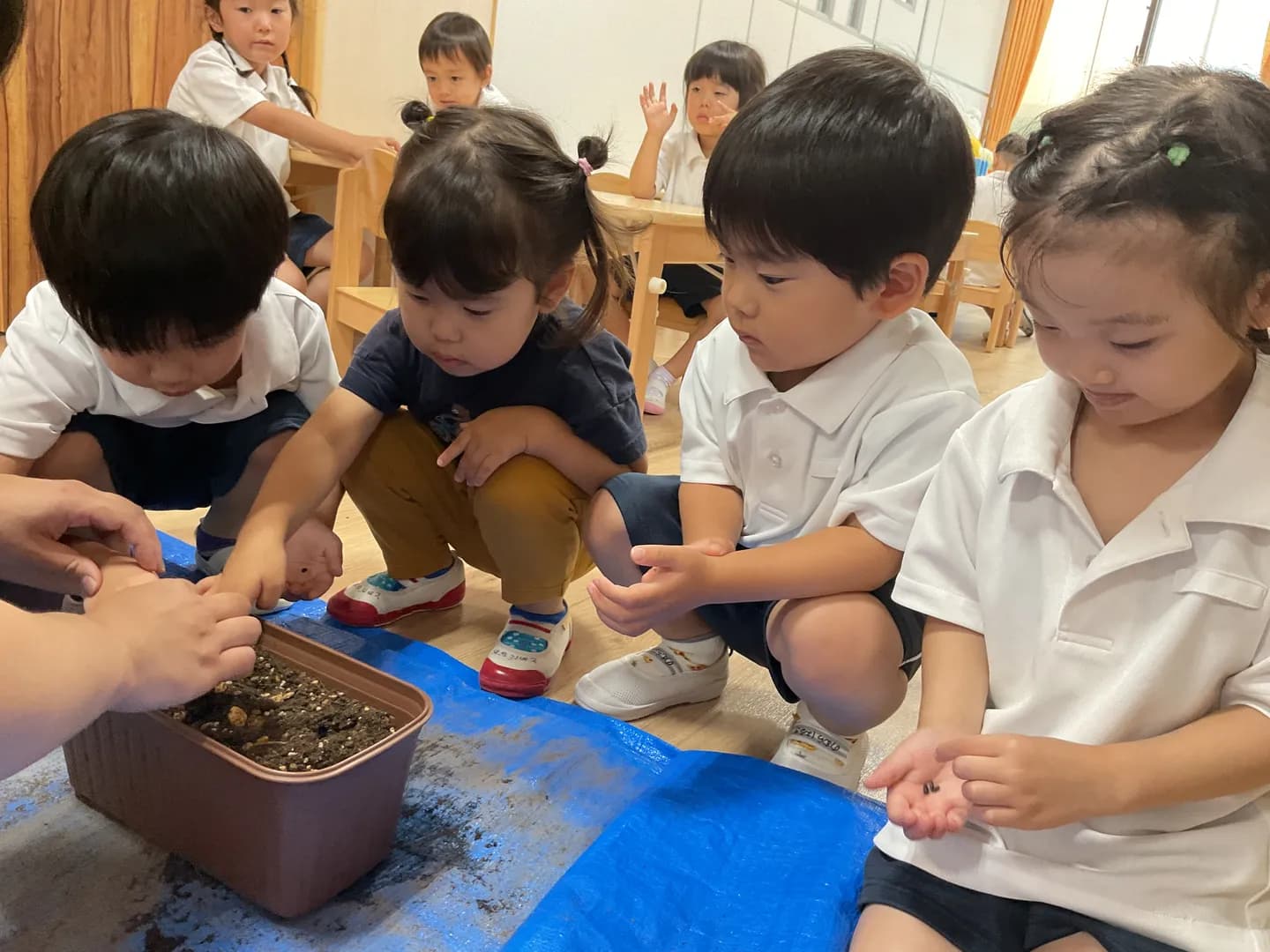 人・物等に思いやりの心があるこども