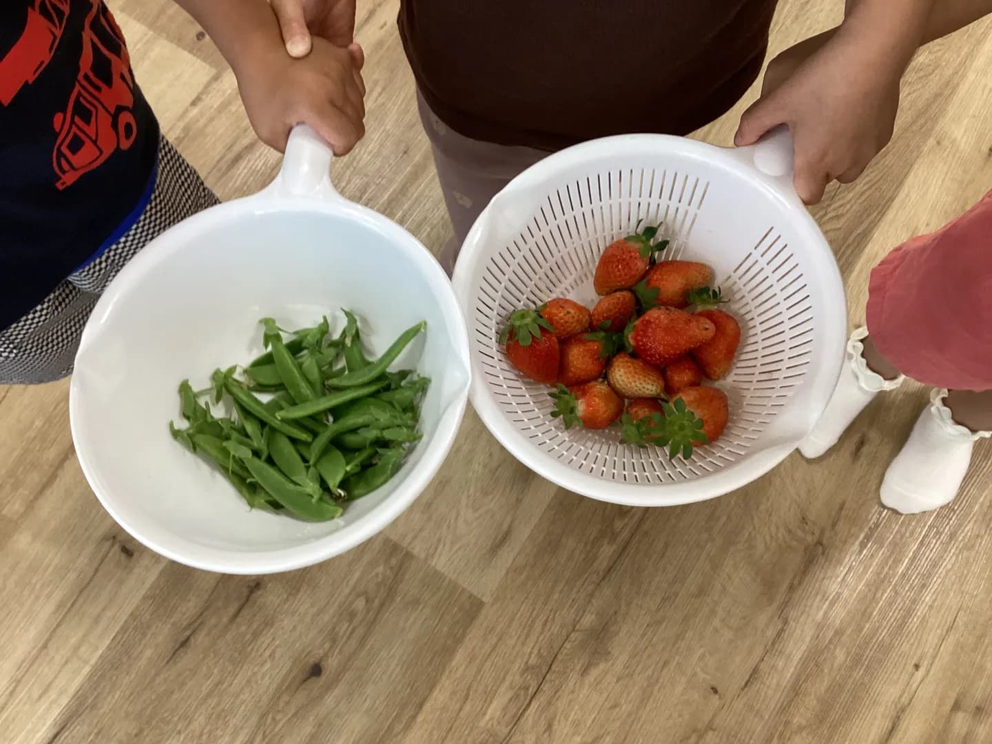 子どもの健康と安全を基本とし、健全な心身の発達を図る